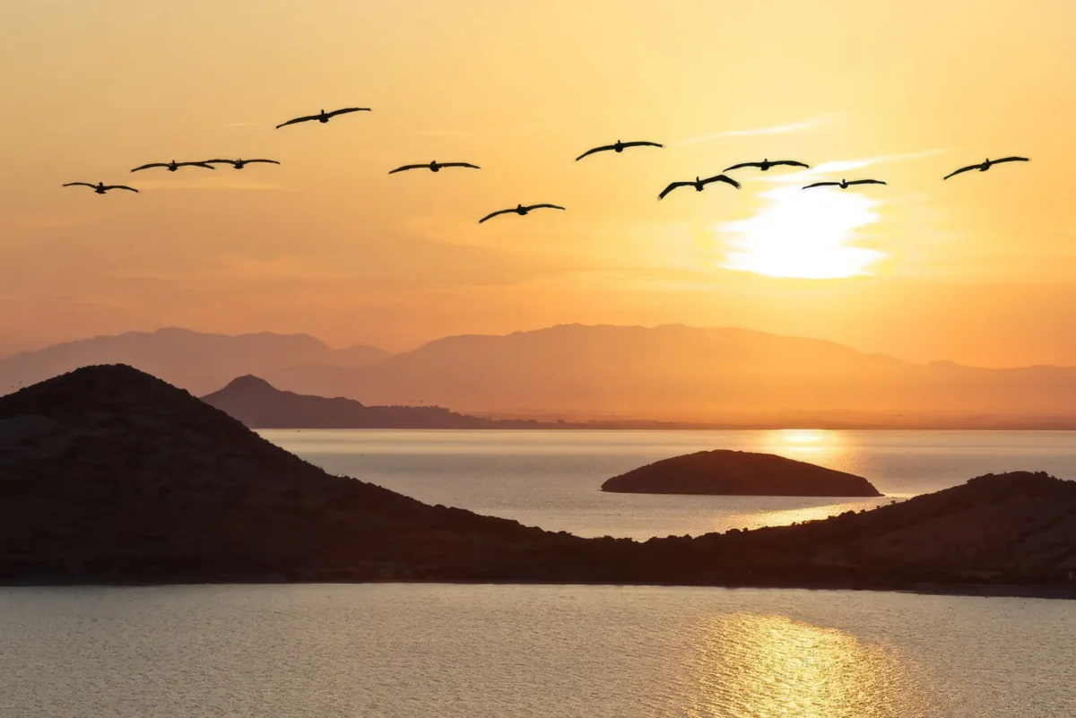 La Manga Studio Apartment To Rent Near Both Seas With Pool Budget Holiday Stay Murcia Spain Direct Booking Travel Search Friendly