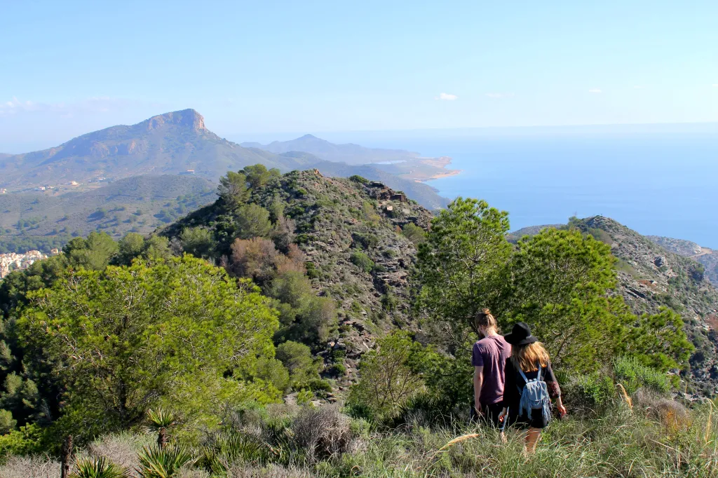 Afternoon Reality What You Do When There Is Less To Do Hiking And Walking