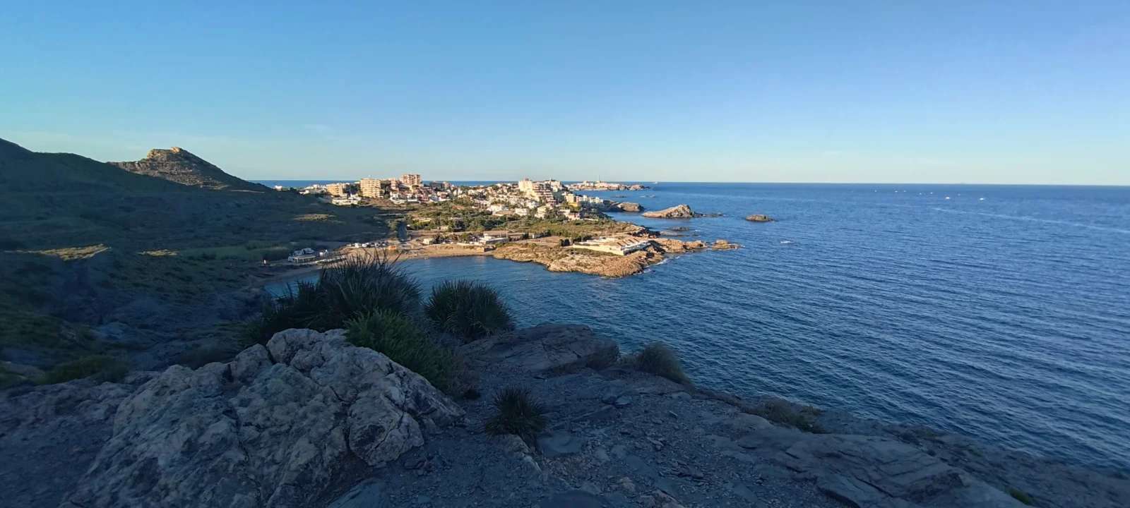 1000095044.webp